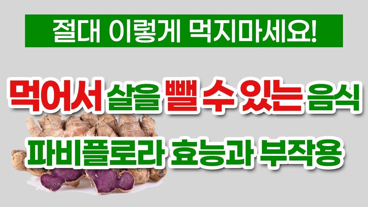내장지방 다이어트 파비플로라 흑생강 효능 부작용 잘못 먹으면 독이 됩니다.
