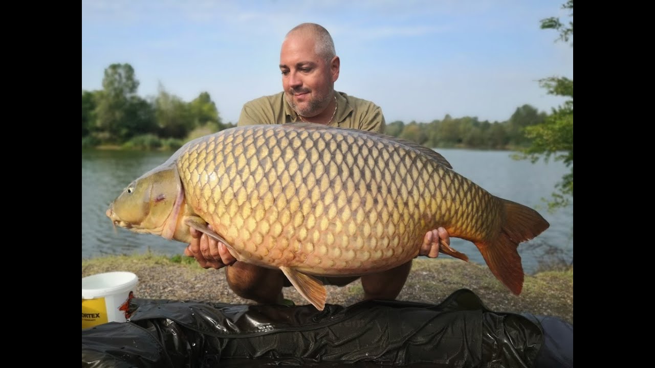 SEDO - CFB Team Hungary - 6 napos horgászat 4db 20kg feletti hallal 3 halfajban