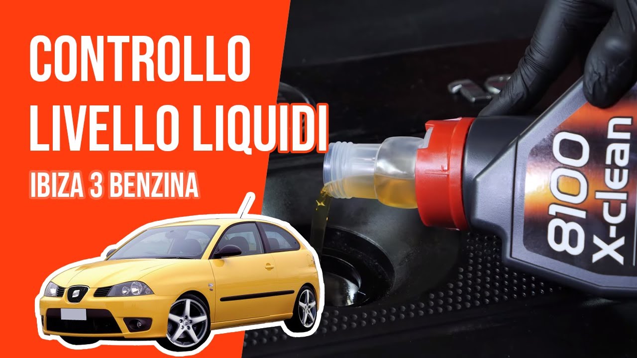 Controllo e rabbocco livello liquidi Ibiza 3 1.4 16S 📏