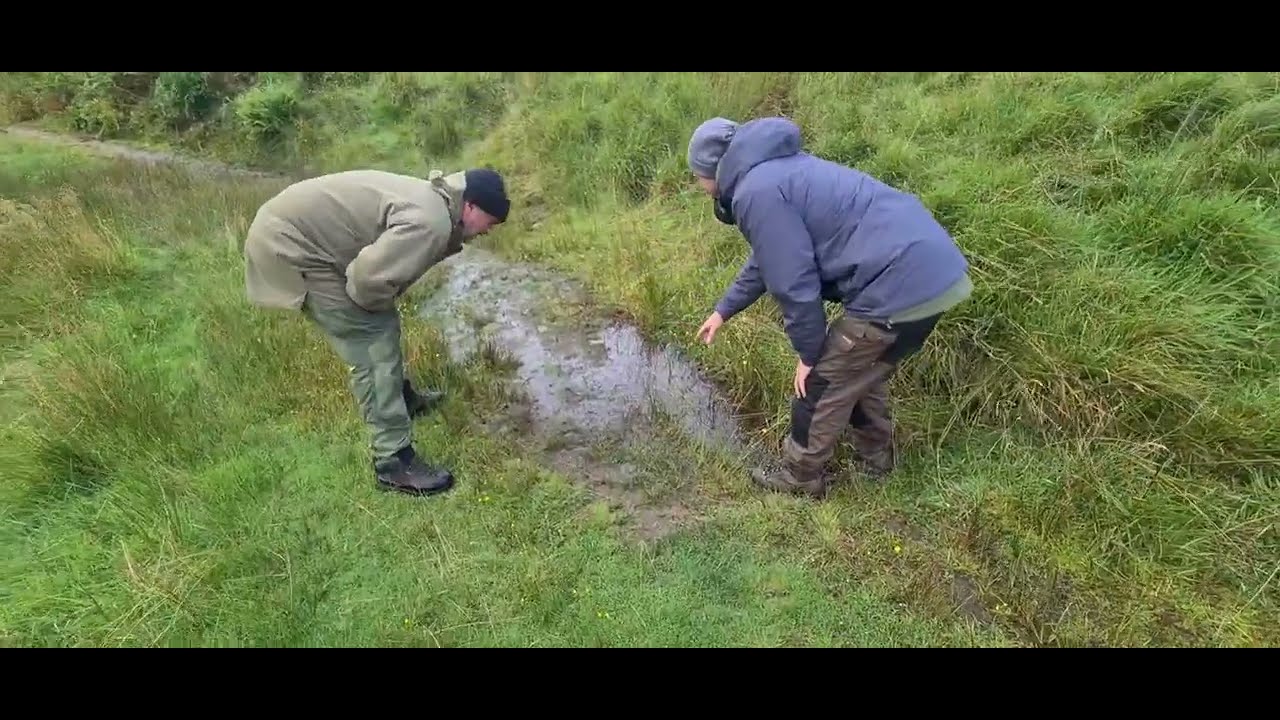 Hunting haggis in Scotland