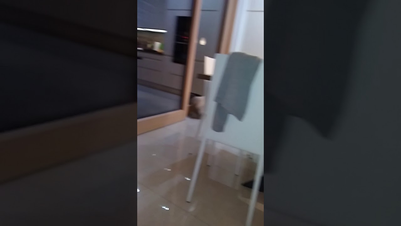 Sme&scaron;nice