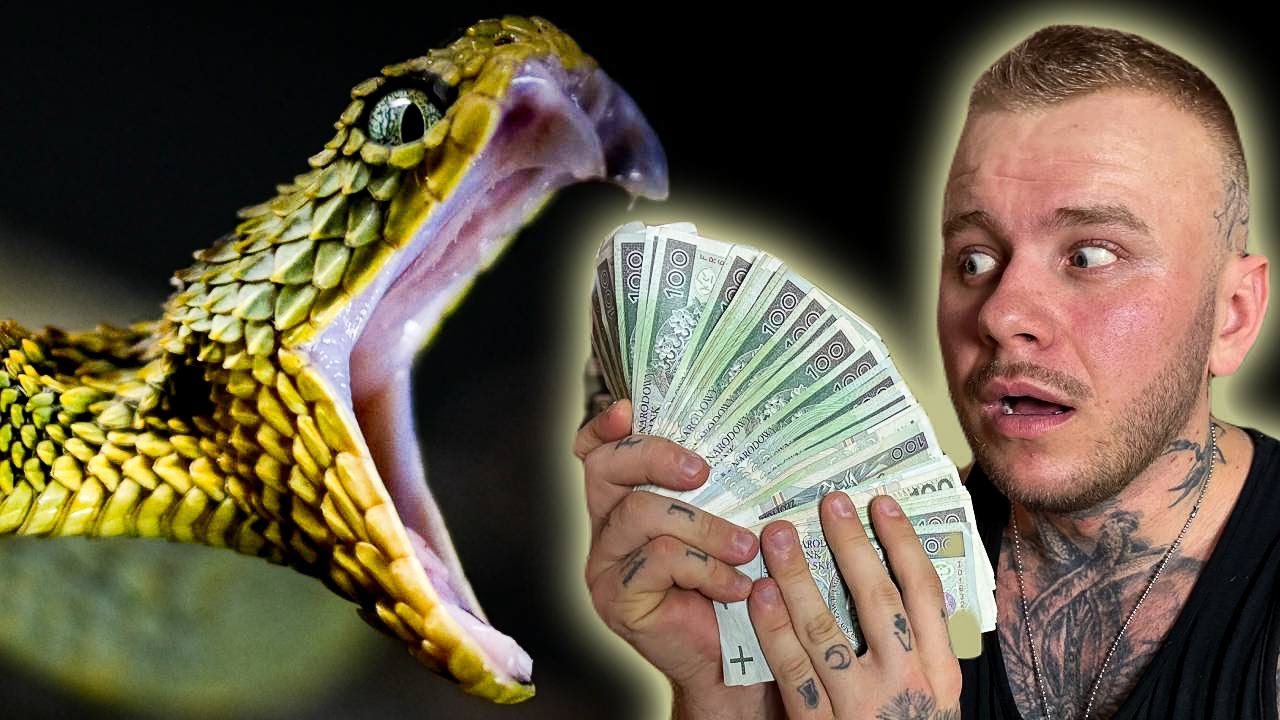 KUPIŁEM GO! PRAWDZIWY SMOK!
