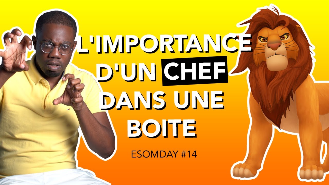 3 LE&Ccedil;ONS A TIRER DU ROI LION POUR UN ENTREPRENEUR I ESOMDAY #14