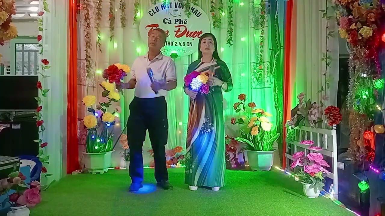 ☘️ những đồi Hoa sim 💐 TB,thanh phong & thanh thủy 