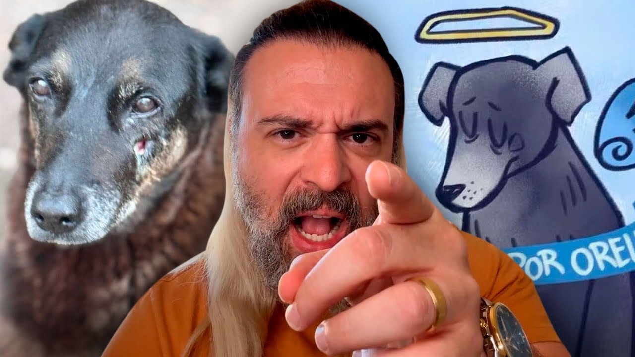 O CÃO ORELHA
