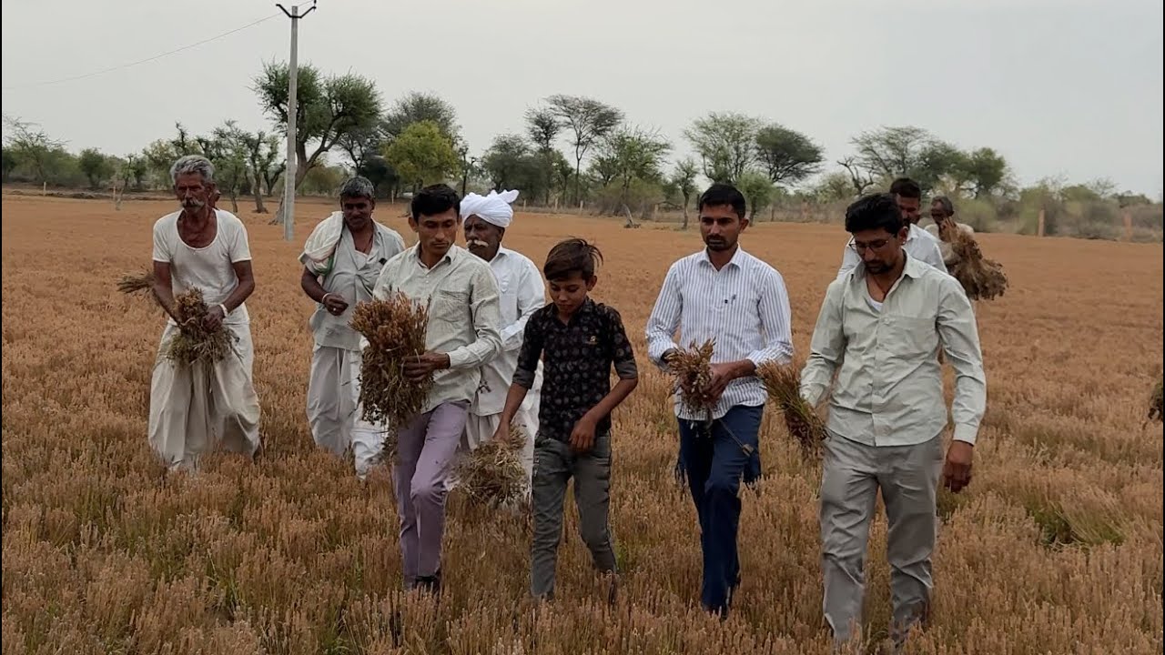किसान ने बताया ; 15 लाख रुपए फसल कर लगाए और 5 महीने दिन रात मेहनत की...बारिश ने कुछ नहीं छोड़ा