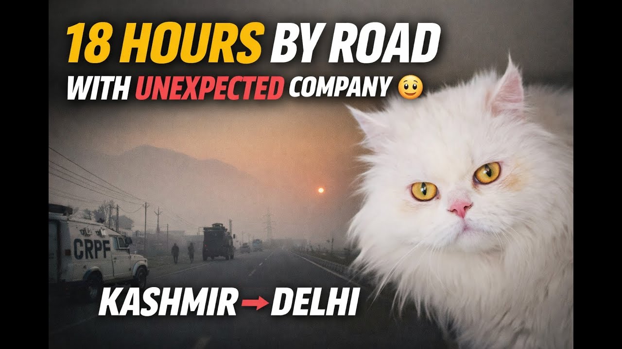 18 Hours by Road | Kashmir ➜ Delhi (With Unexpected Company 😳)