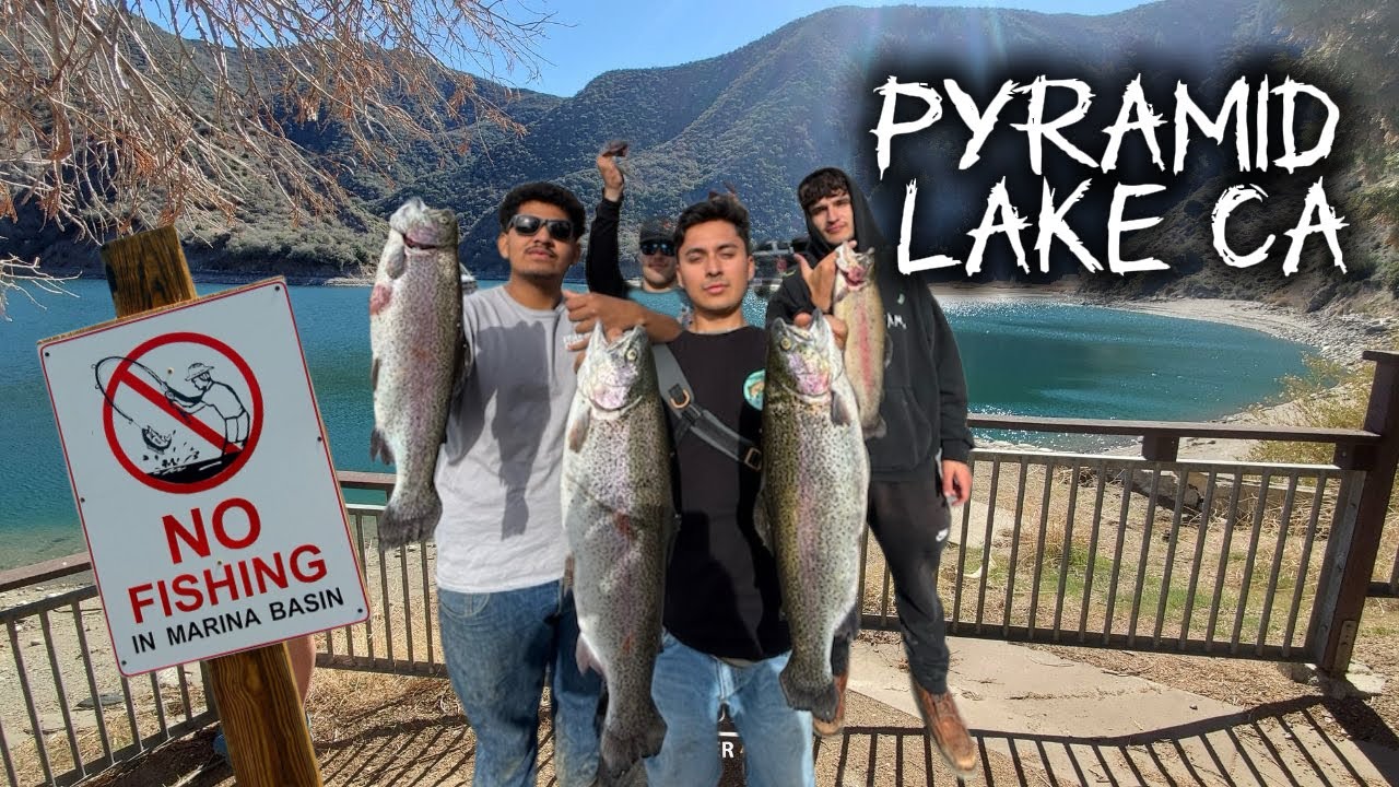 Pyramid Lake Ca TROUT STOCK ( INSANE BITE 2025