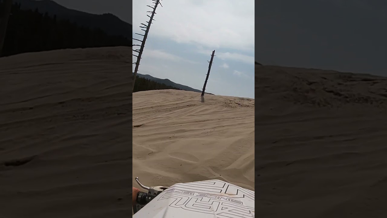 Sand lake tree shot
