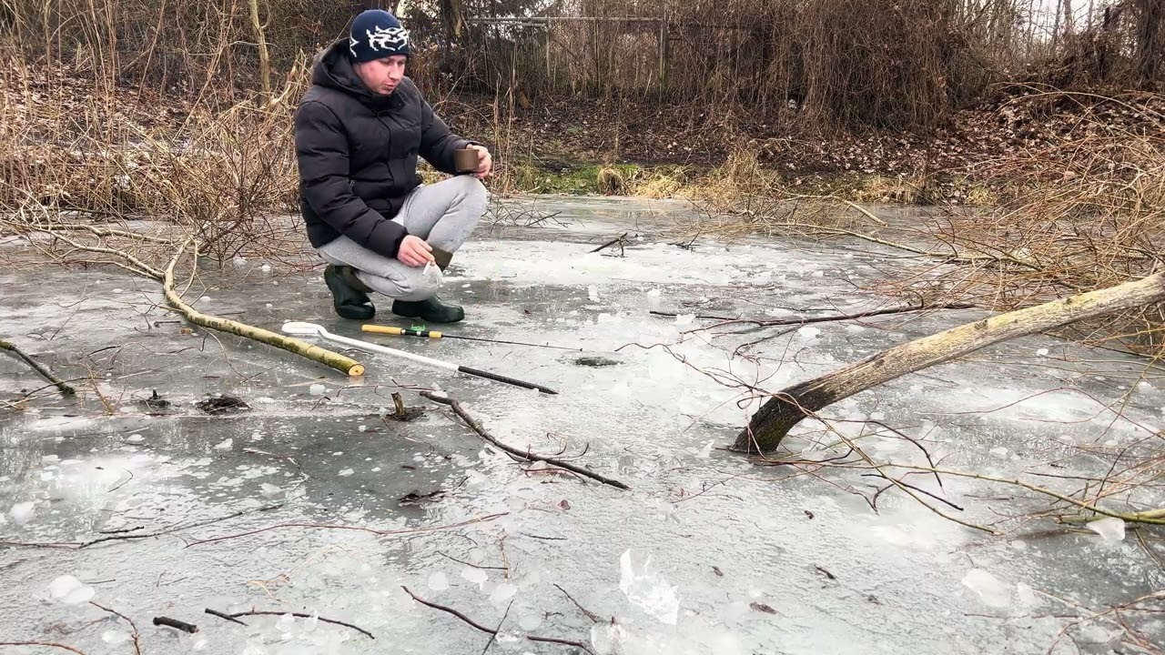 Ловим коропа зимою в корчах