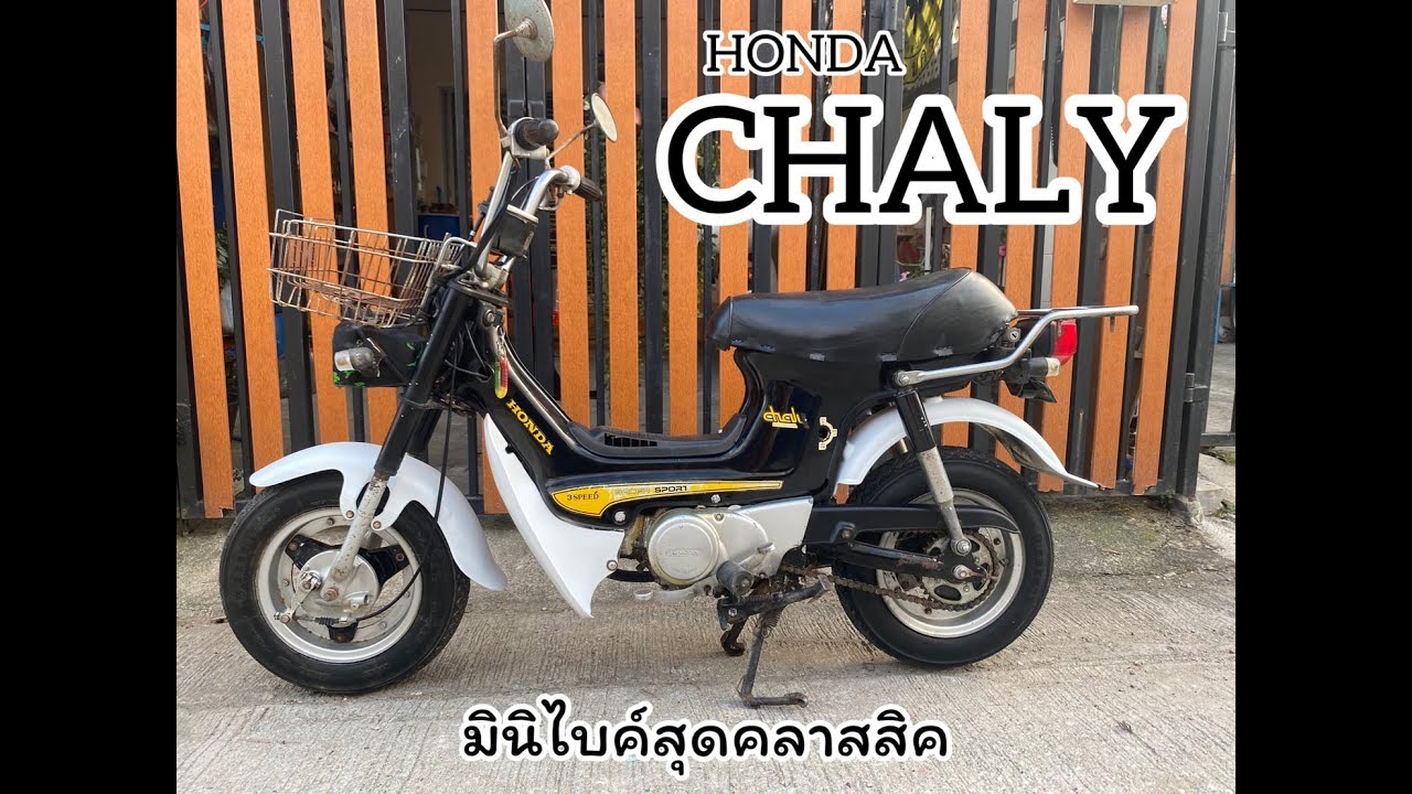 ฮอนด้าชาลีสีดำ Honda chaly cf50