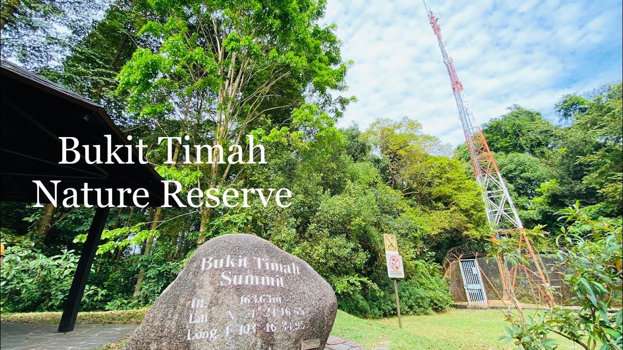 Hiking up Singapore’s highest hill at Bukit Timah Nature Reserve