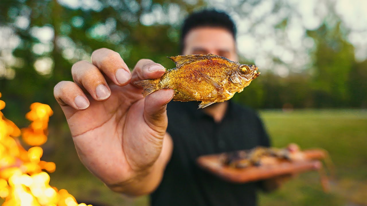 Pesca Primitiva, Varinha, linha e Mais de 15 Peixes no card&aacute;pio
