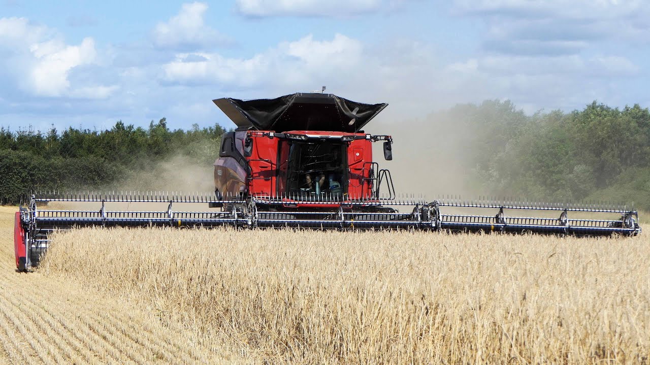 Case IH AF10 with 50ft. MacDon FD250 Header Harvesting Rye | Big Harvest 2025