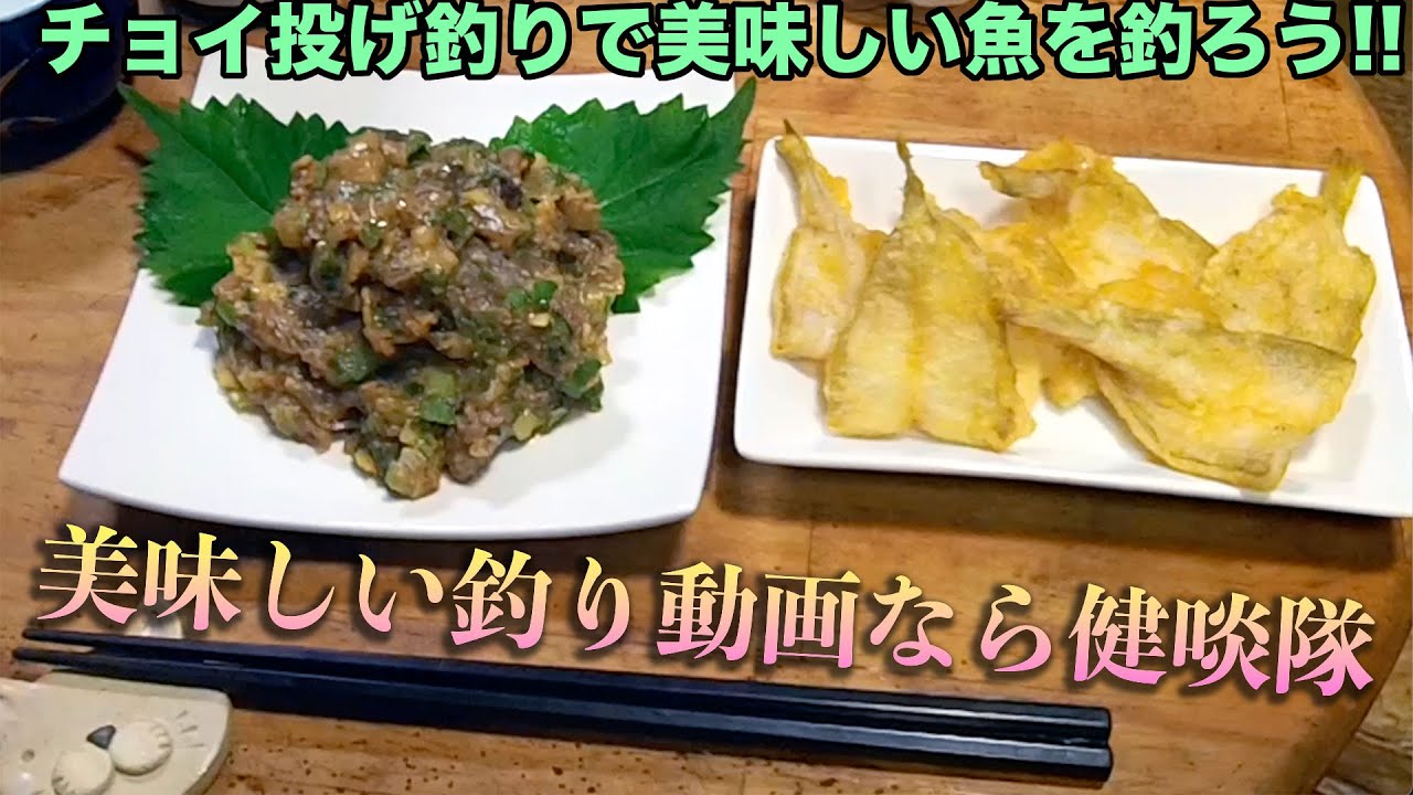 筋書きは大磯港東堤防でヒイラギ平塚秘密の護岸でシロギスそして美味しい晩酌【超ハッピーで分かりやすい釣り動画なら健啖隊】