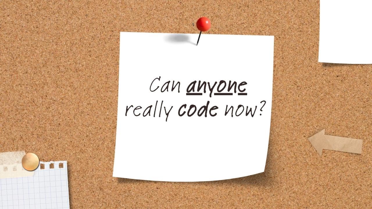 Can anyone really code now?