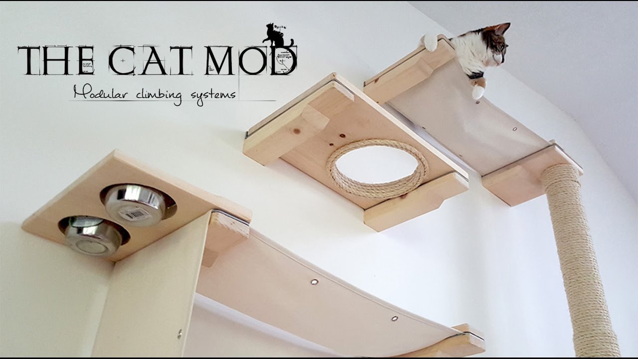 The Cat Mod - Modular Climbing Systems