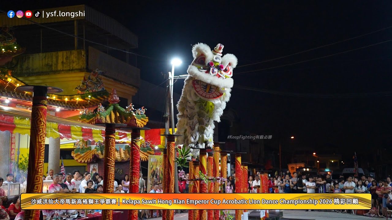 【高樁南獅】🇲🇾Muar Kun Seng Keng 柔佛麻坡關聖宮龍獅團 - 2026沙威洪仙大帝馬新高樁獅王爭霸賽 @沙威洪仙大帝庙