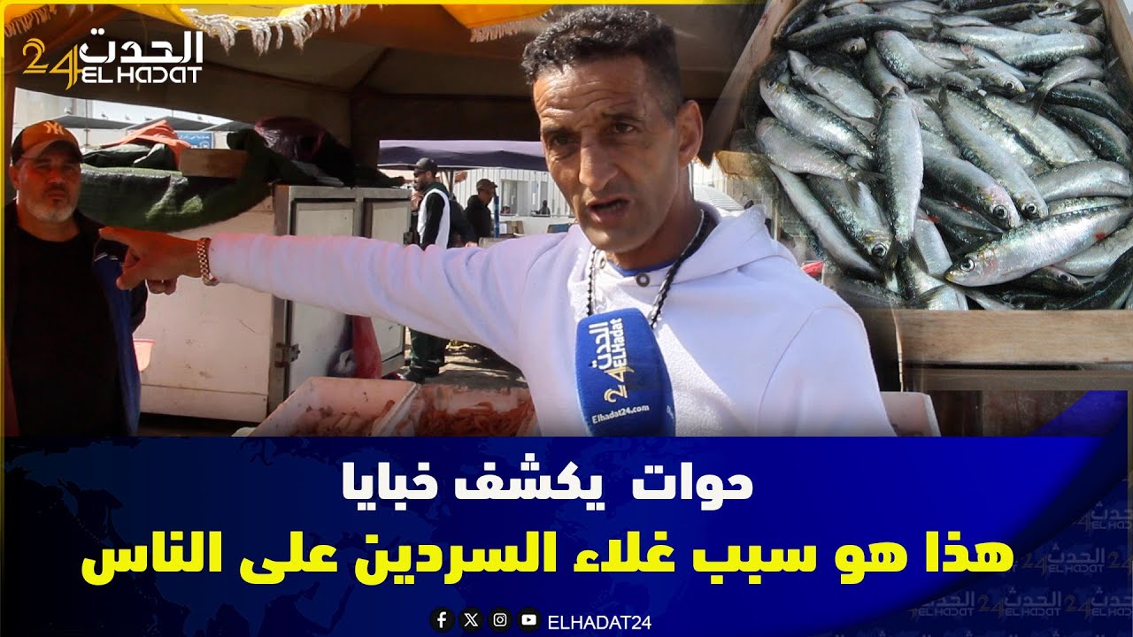 حوات بسلا يكشف خبايا في تجارة الأسماك.. هذا هو سبب غلاء السردين على المغاربة