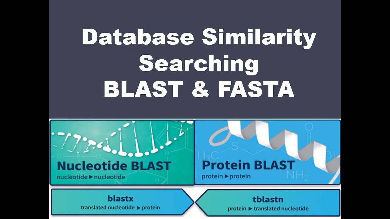 Database Similarity Searching- BLAST & FASTA