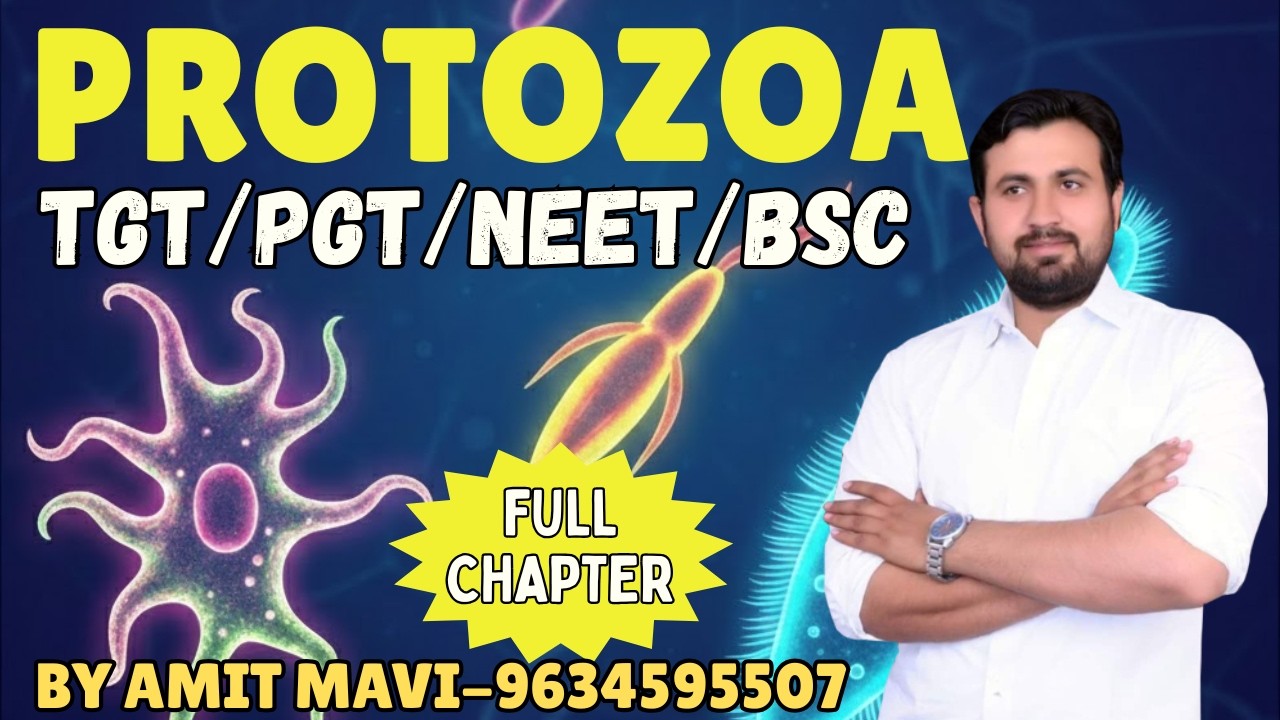 Phylum Protozoa One Shot | TGT PGT Biology Preparation | Amit Mavi Sir