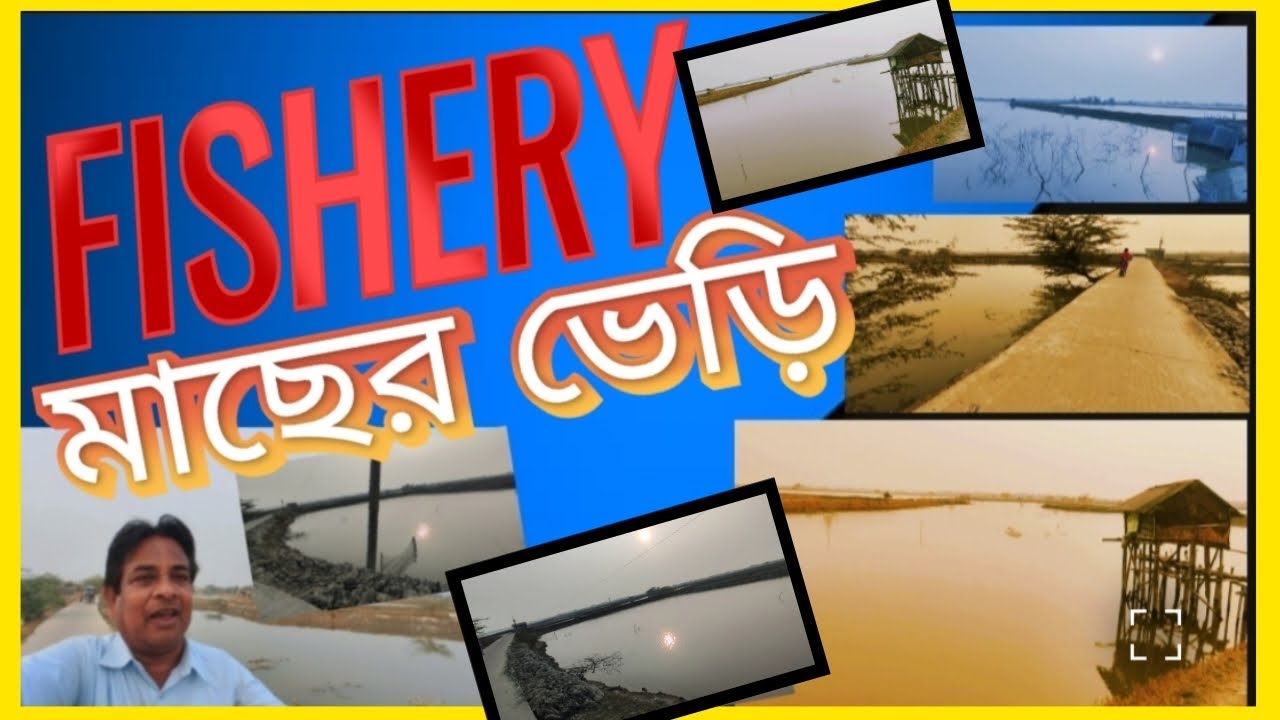 झींगा मछली का खेती ! Chingri, Bagda Machi Ka Farming ! Fish Farming ! West Bengal Fish Farming ! 🦐🦐🦐