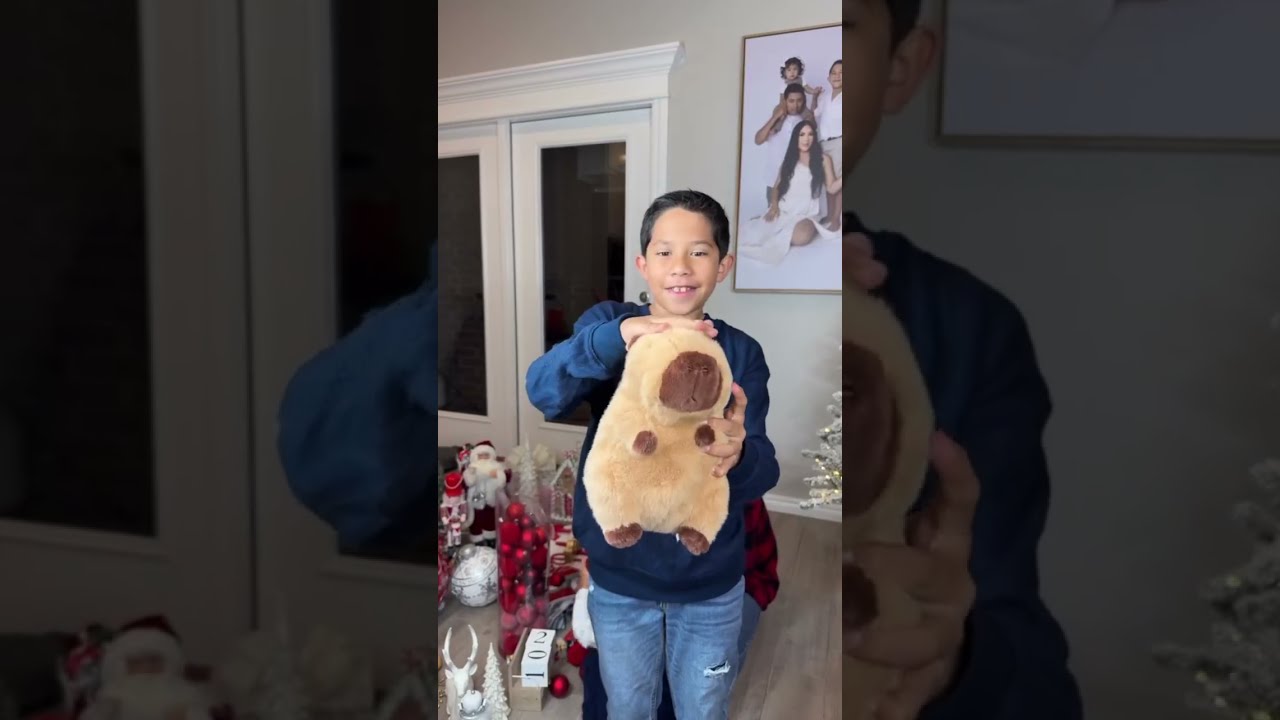 Decoramos nuestro pinito de navidad!! y quien creen que se salió con la suya??