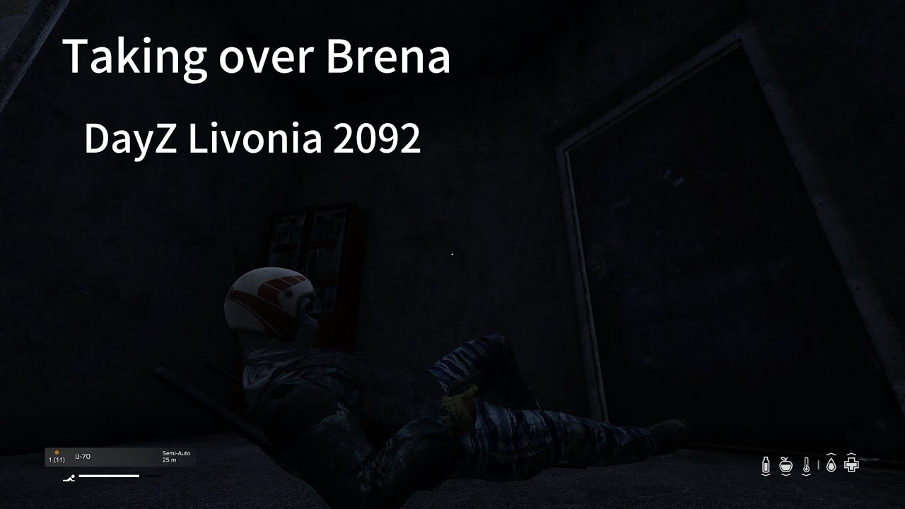A Nightmare In Brena, DayZ (Server 2092)