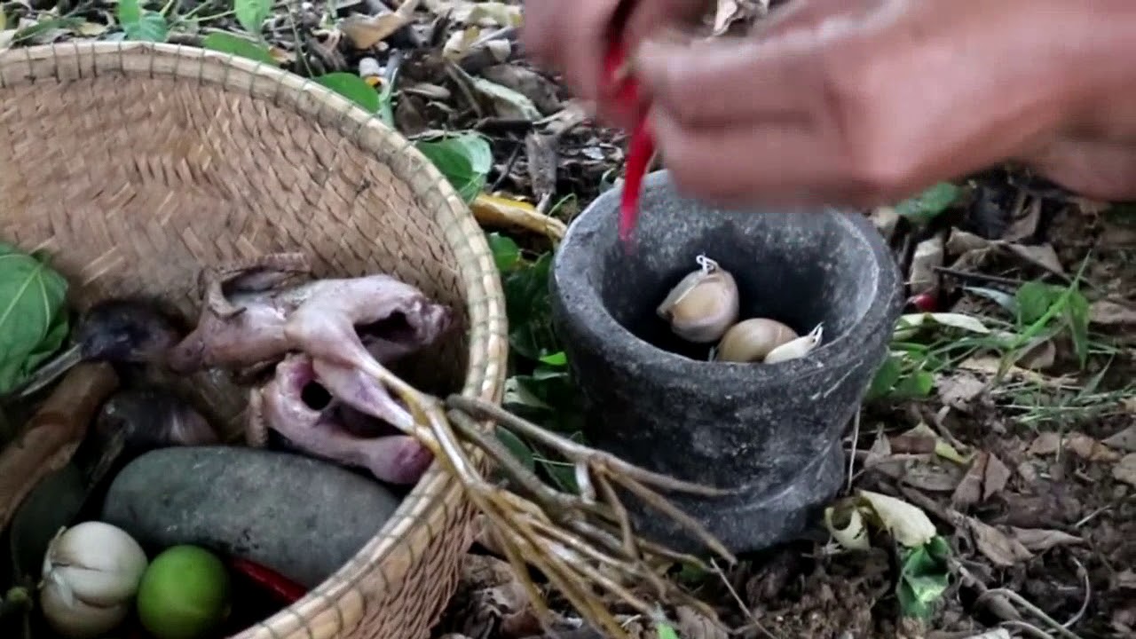 Survival skills: Finding birds & grilled for food - Cooking birds eating delicious