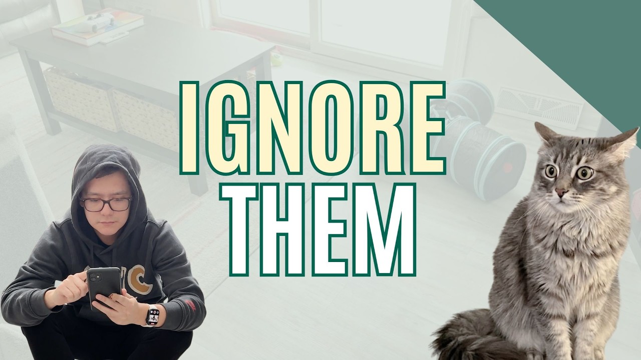 I Wish I Knew This About Bonding With a New Cat