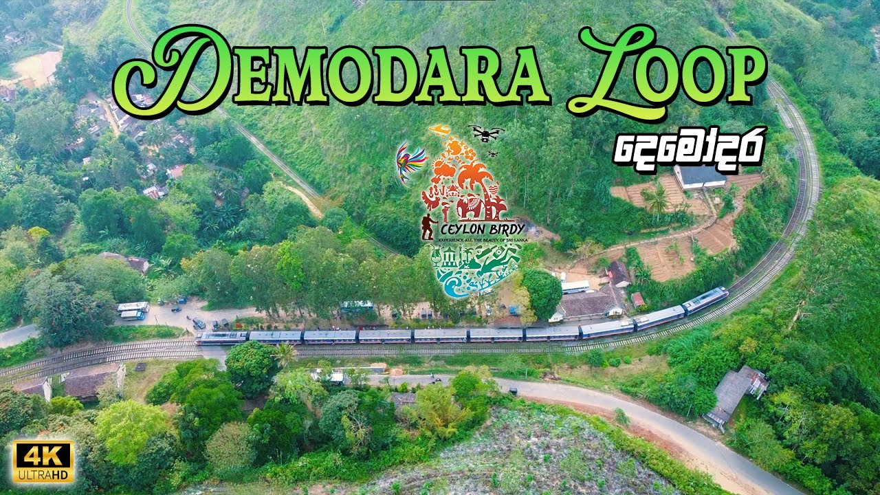 Demodara Loop | දෙමෝදර | Relaxing Birdview Adventure | Ceylon Birdy | 4K