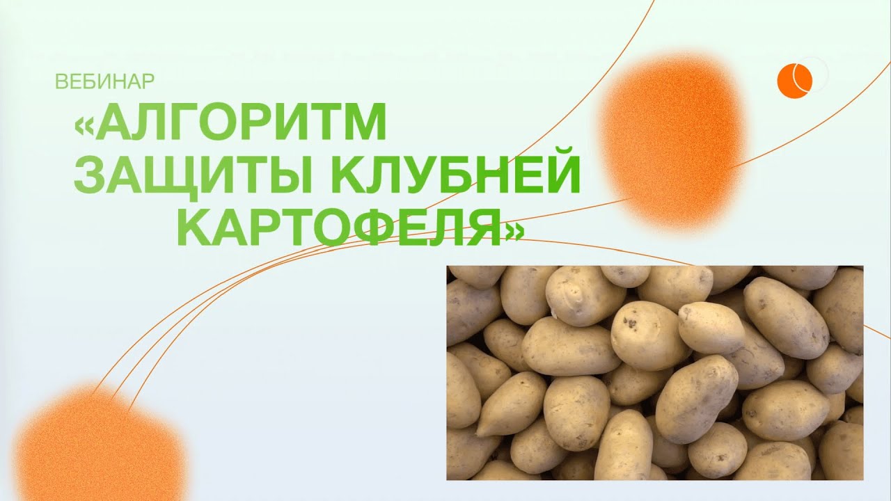 Вебинар: «Алгоритм защиты клубней картофеля»