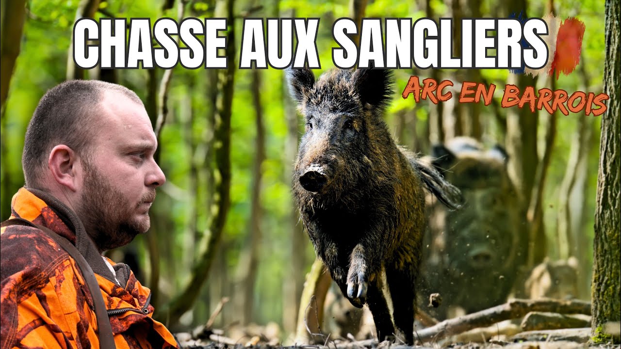 Fermeture de la chasse Arc en Barrois