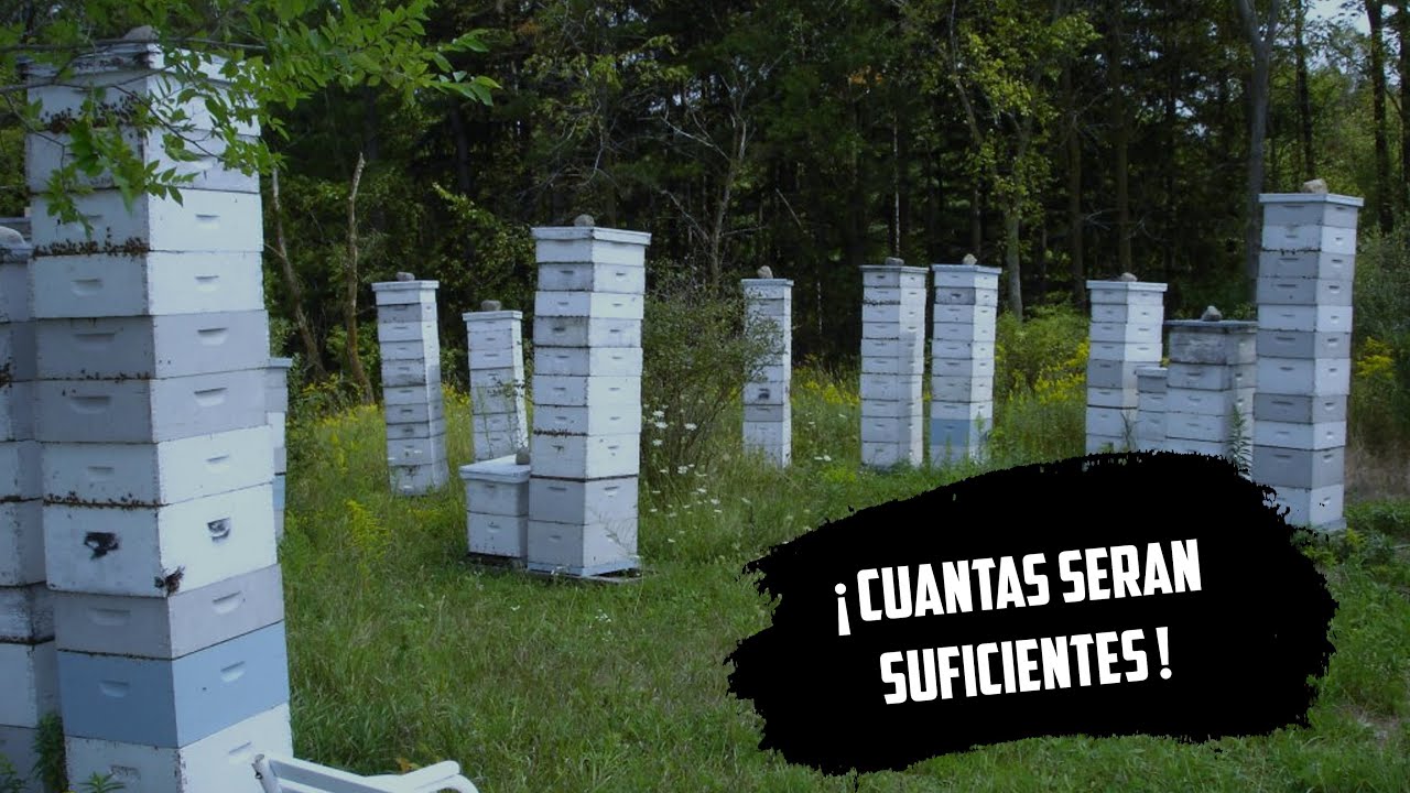 ¡Increible! Cuanto peso soporta una Colmena | Asi colocamos Alzas de miel