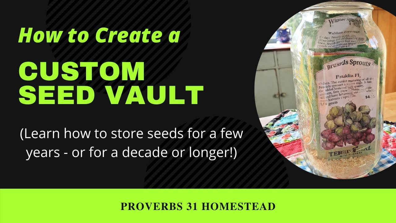 How to Create a Custom Seed Vault (Store Seeds for Years!)