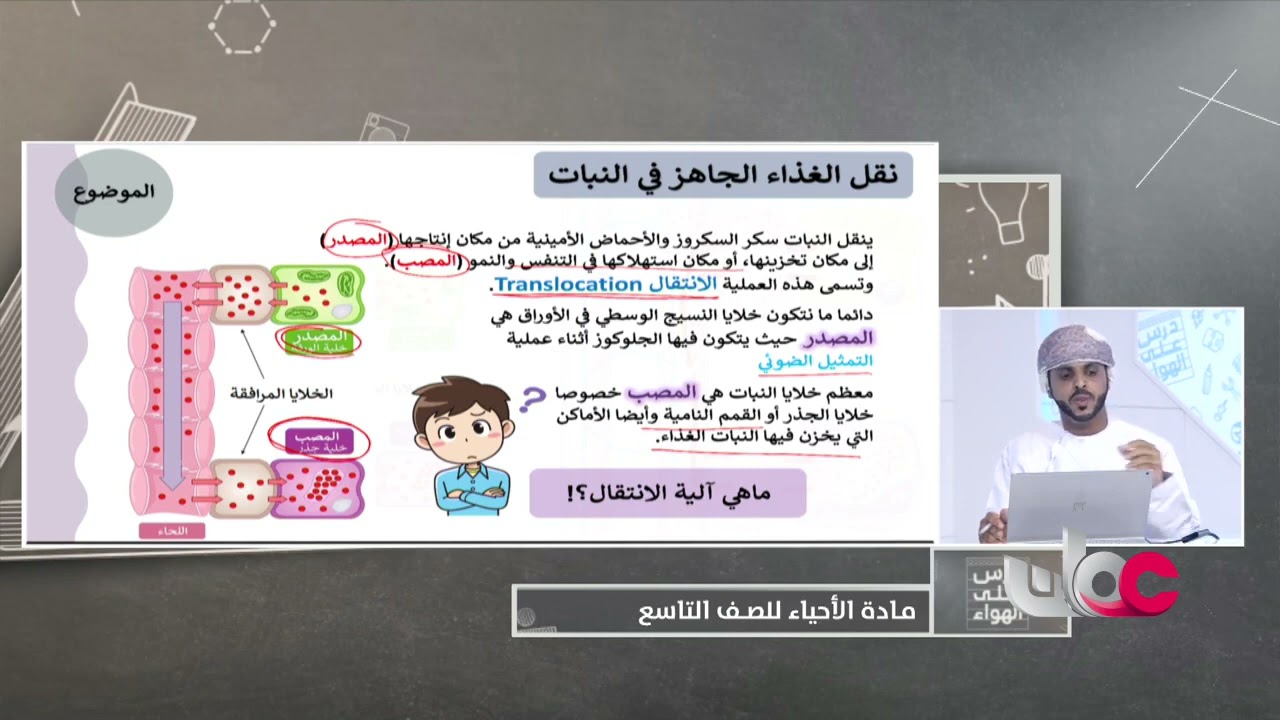 نقل الغذاء الجاهز في النبات - أحياء للصف التاسع الفصل الثاني