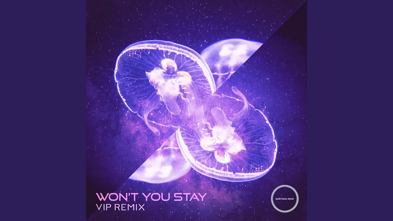 Won't You Stay (VIP Remix)