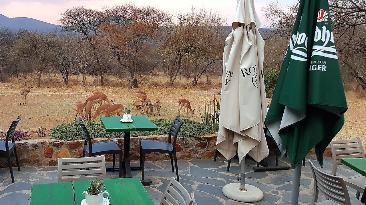 Top rated Restaurants in Mochudi, Botswana | 2020