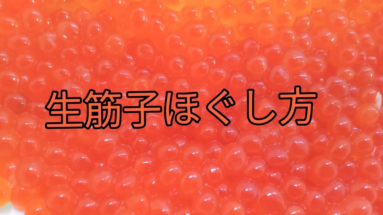 簡単!!生筋子のほぐし方