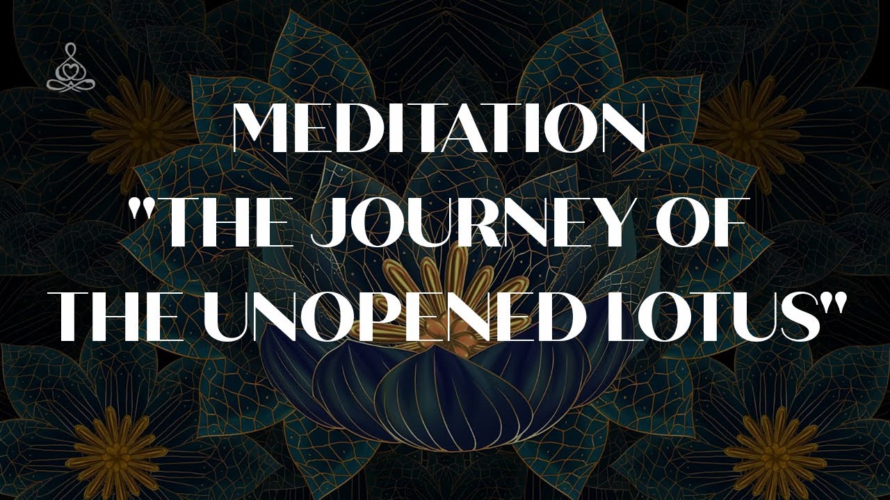 Meditation 