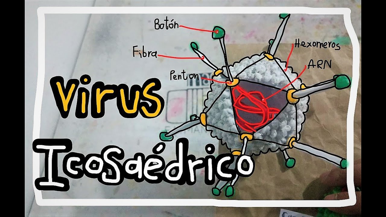 Virus Icosaédrico Maqueta