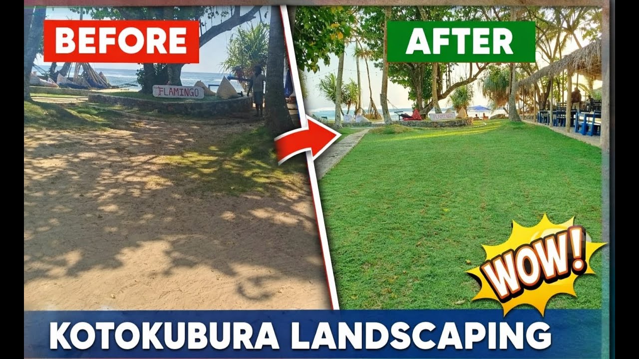 🌴 Landscape work at a beach resort in Ahangama 🌊