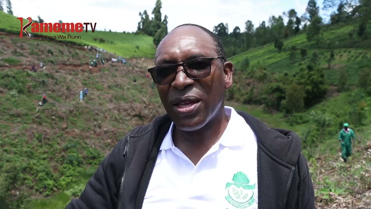 Aria maikaraga hakuhi na migunda ya Nyayo Tea Zones kurutirwo mukana