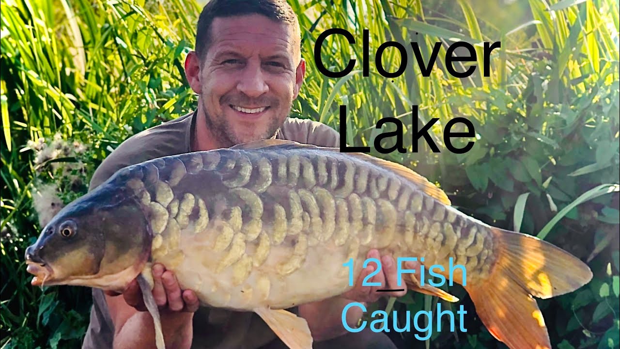 Coking Farm , Clover Lake , Big Day Ticket Hit Of Carp , Tips And Tactics