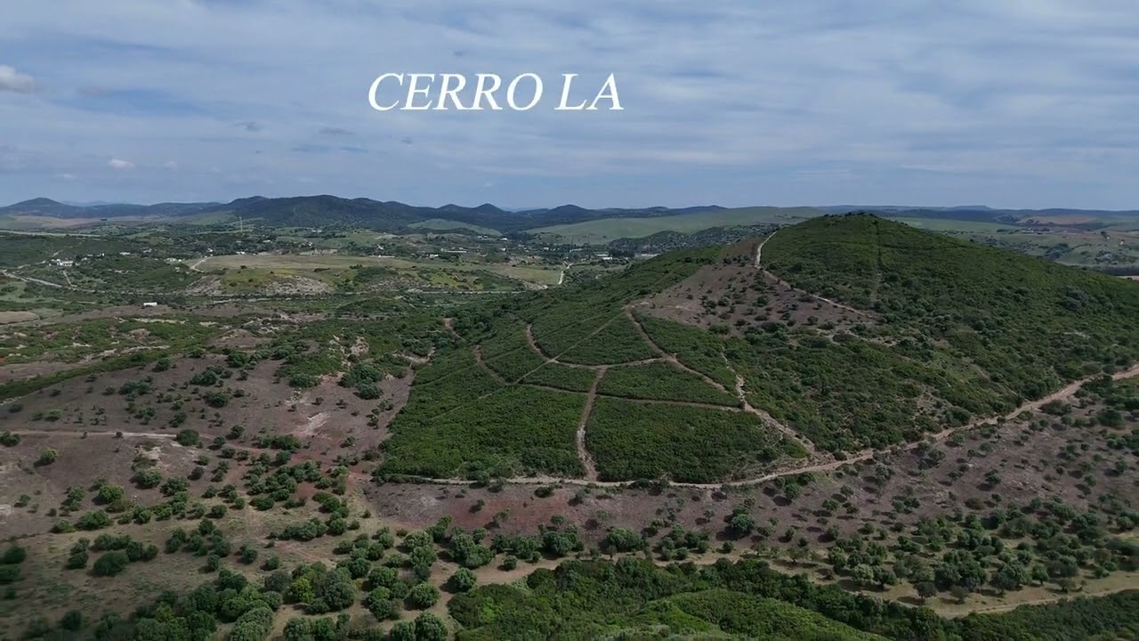 Cantera El Berrueco 30 05 2025 video de ANTONIO JIMENEZ BERNAL