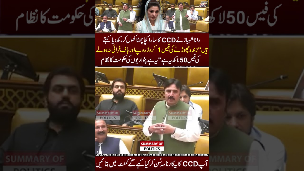 CCD ka raaz fash ho gaya 😨😱😨#ccd #pmln #maryemnawaz #parliament #shahbazsharif #viral #video #news