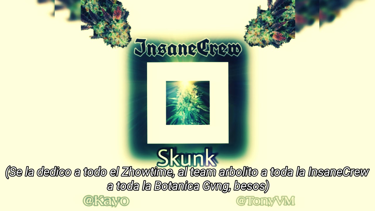 KayoXToniVM-Skunk