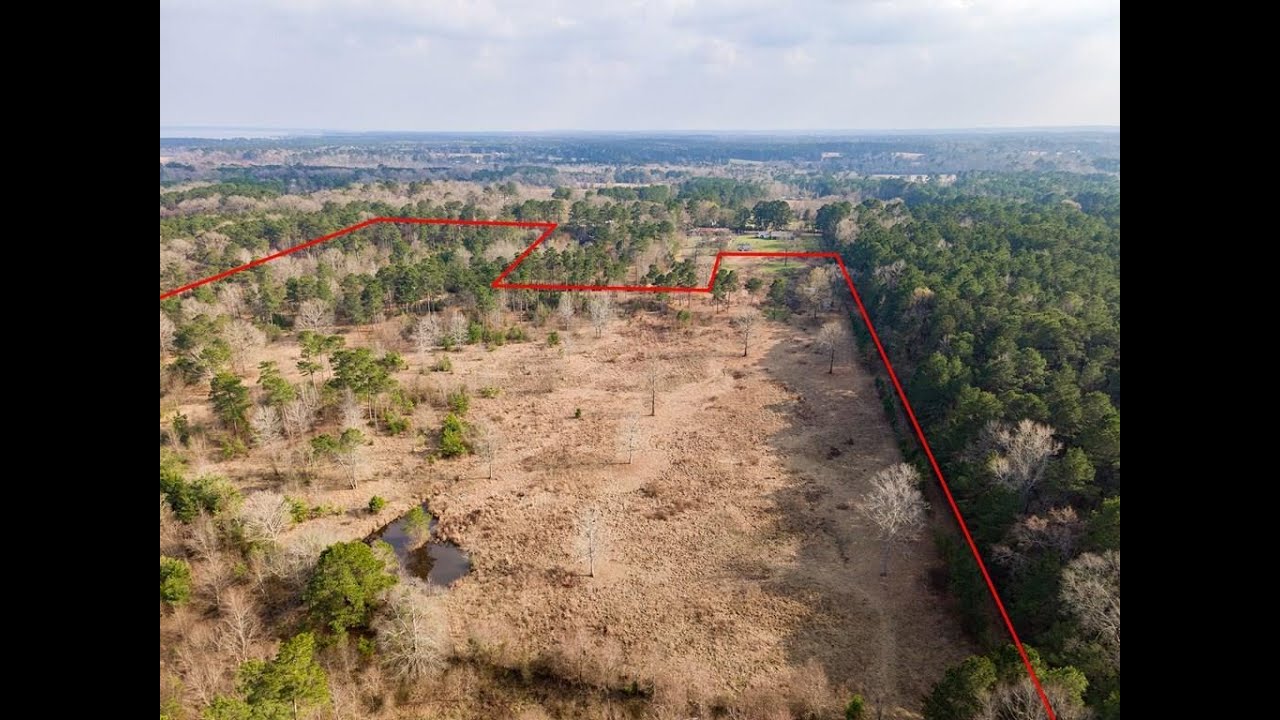 NEW LISTING: 571 Herman Nerren Road Huntington TX 75949