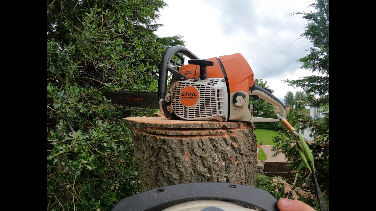 50ft Dead Ash Coming Down