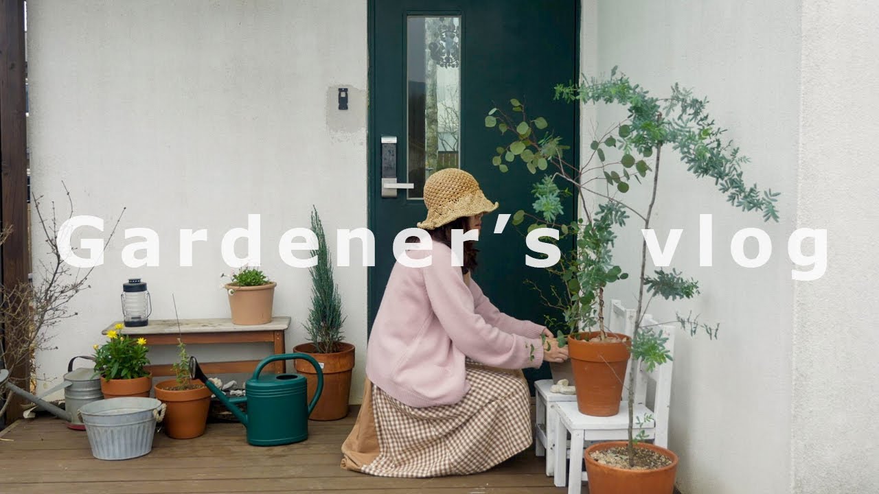 Весеннее садоводство для летнего и осеннего сада 🌿 Я супер занят! 🐝